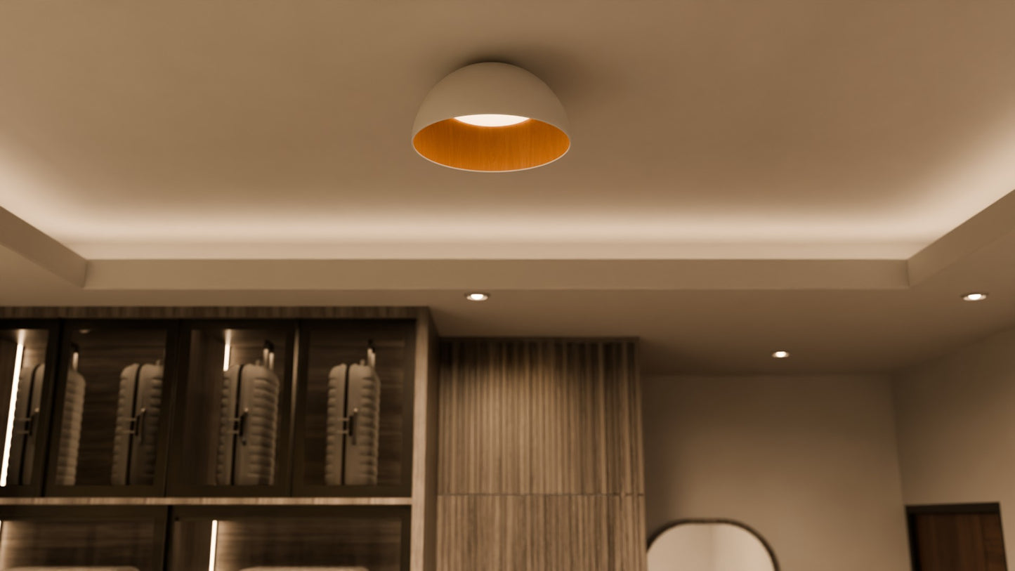 Zero Plafonyer flat m